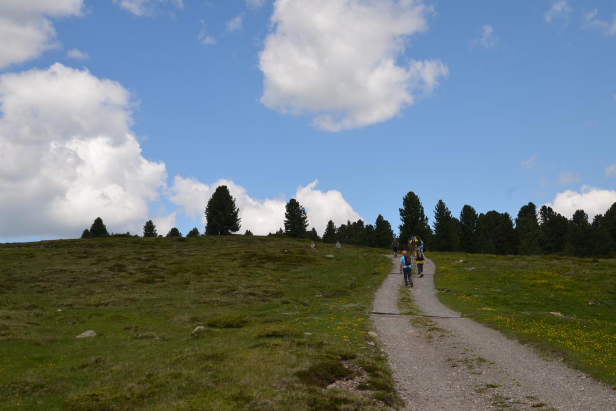 Platzer Alm 15.06.2023